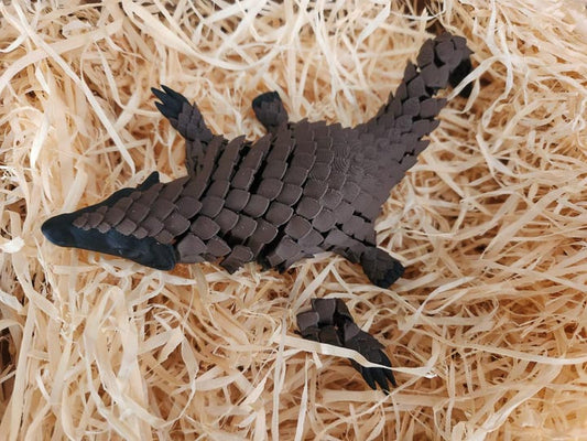 Caring for Your Pangolin Ambassador