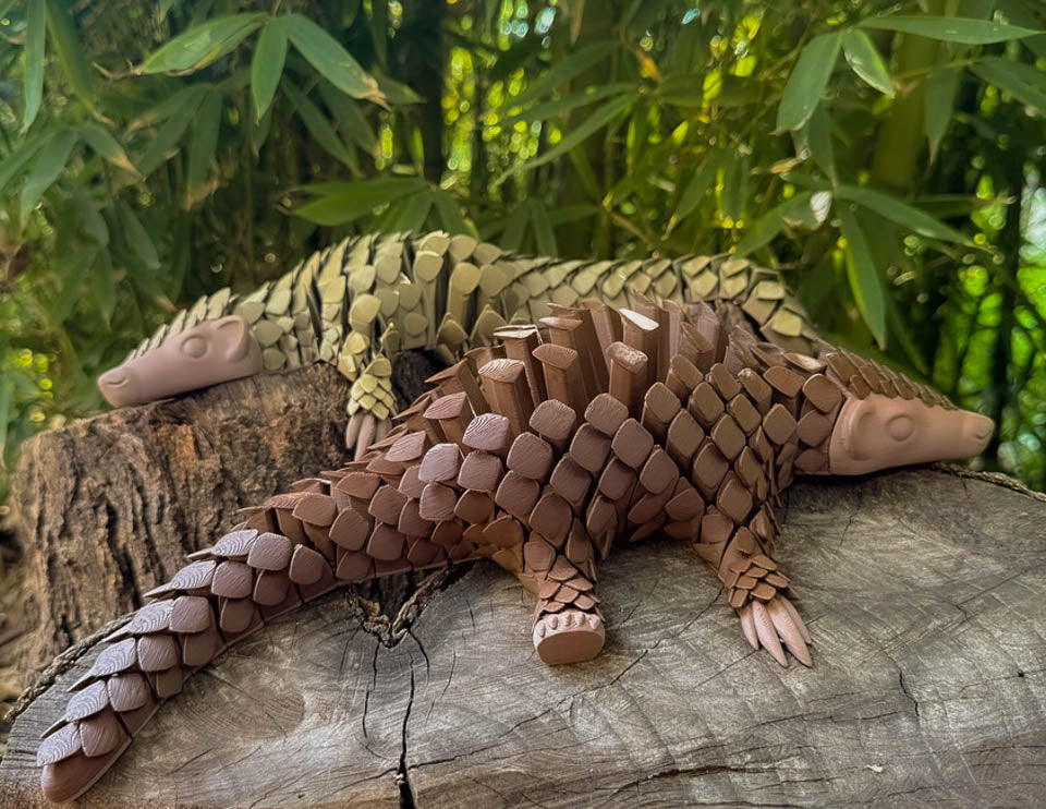 Pangolin: Large Collector's Edition