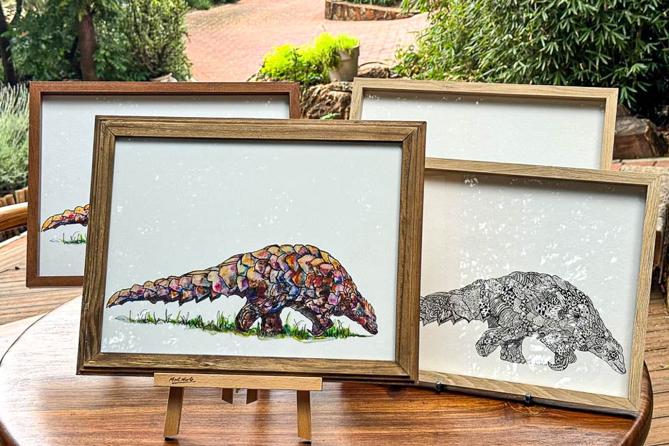 Pangolin Paintings Framed