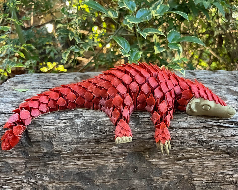 Pangolin: Xmas Limited Edition