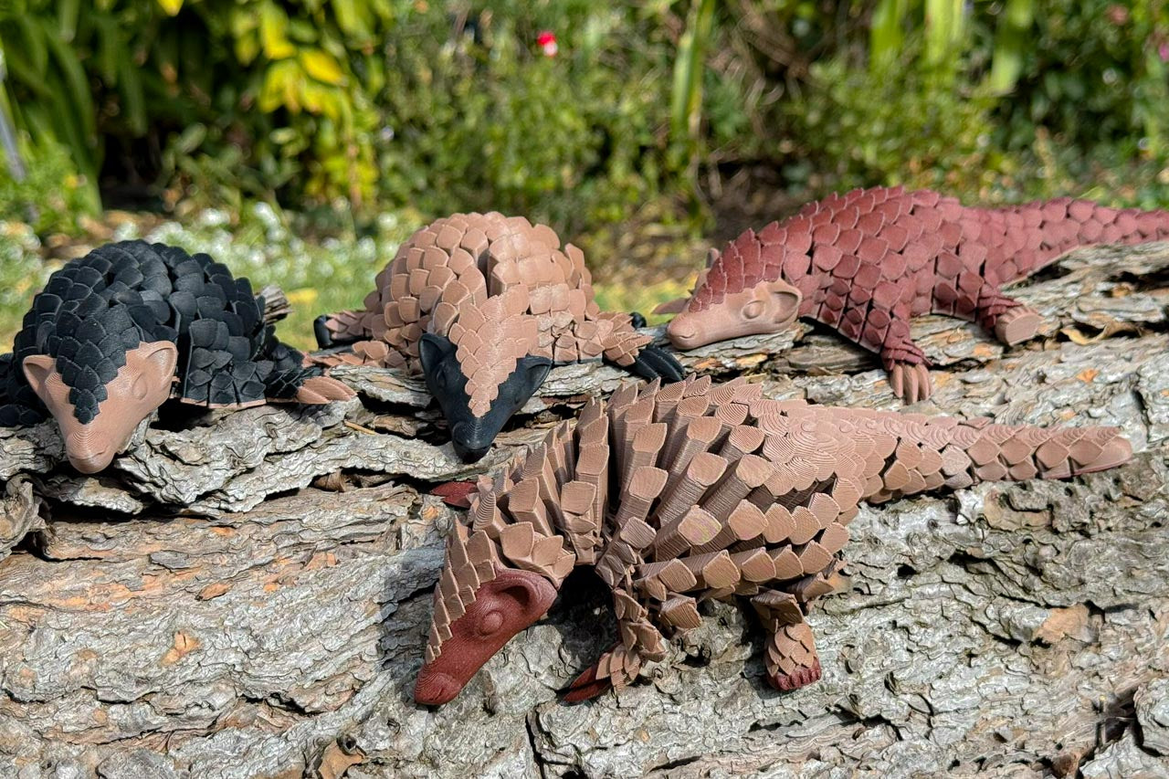 four Let's Live Ambassador Pangolin's on a log