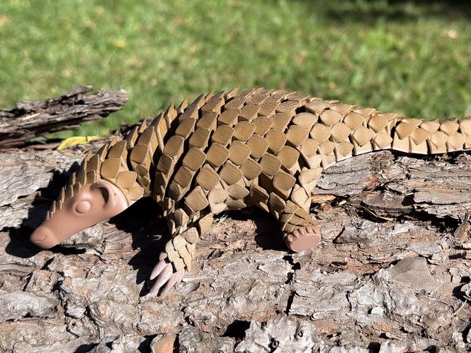 Walnut Let's Live Pangolin Toy on Wood