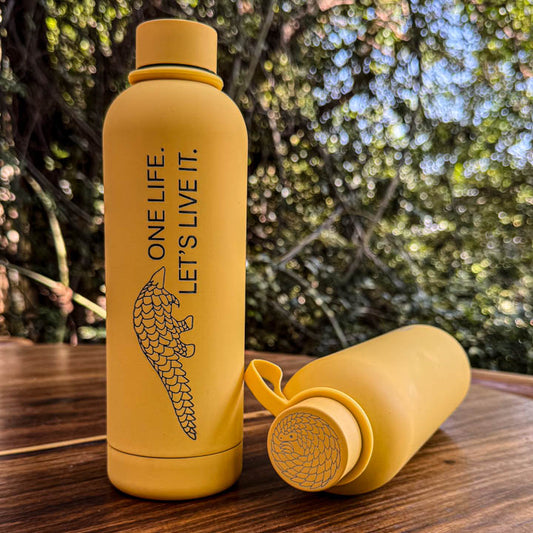 Soft Touch Stainless Steel Water Bottle – 750ml