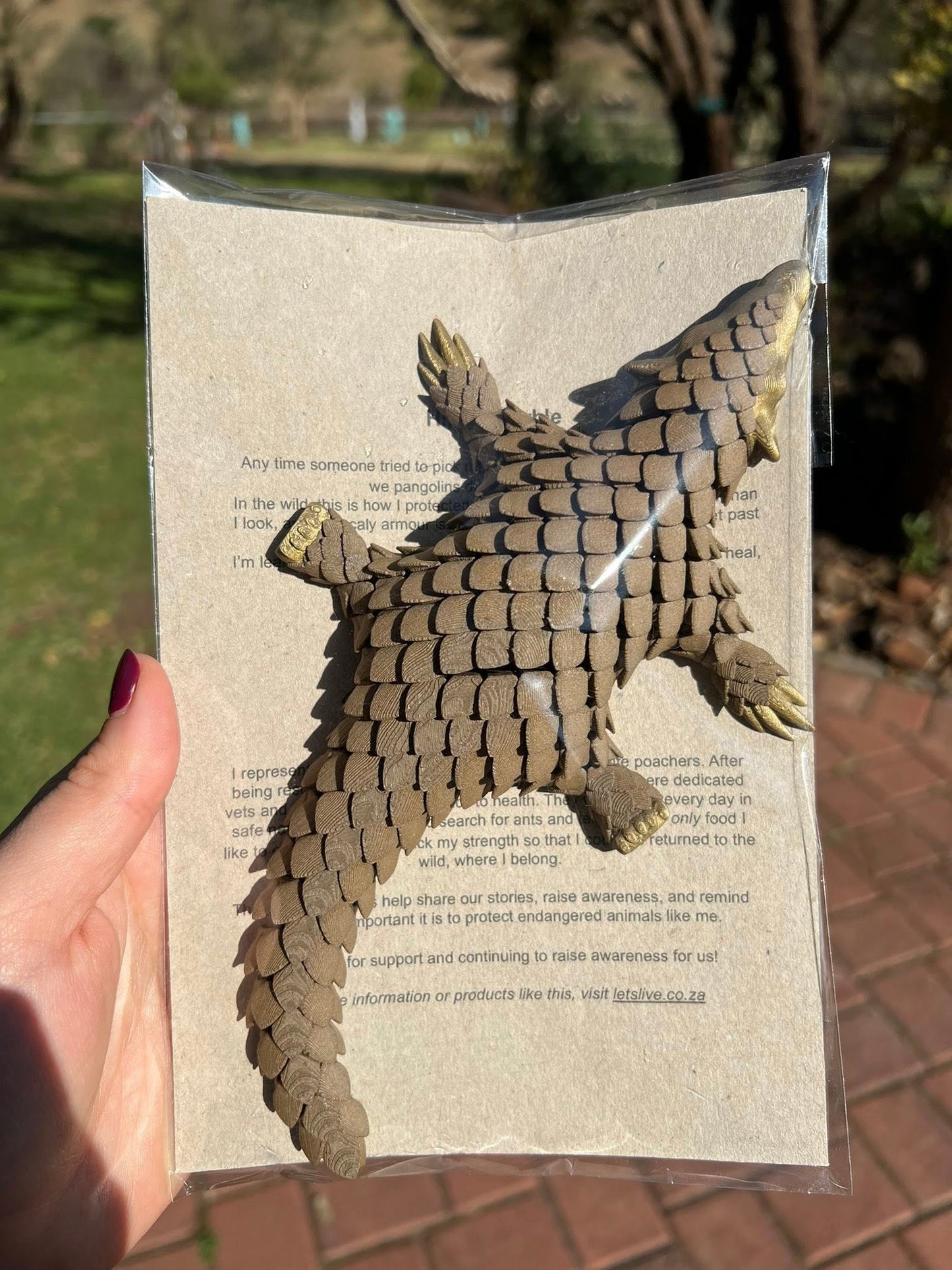 3D printed Let's Live Pangolin Toy in packaging