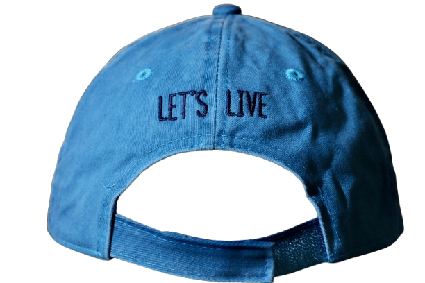 Lets Live hat from the back