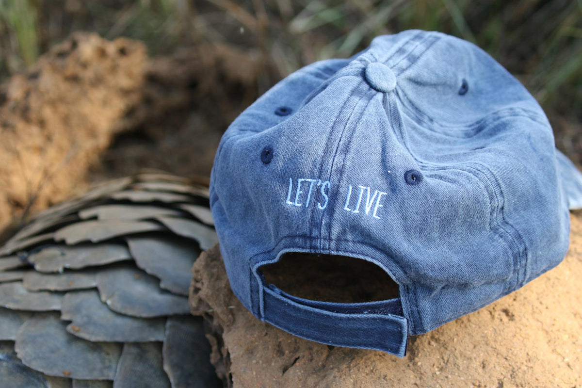 Back side of a Lets Live cap on a termite mound next a pangolin