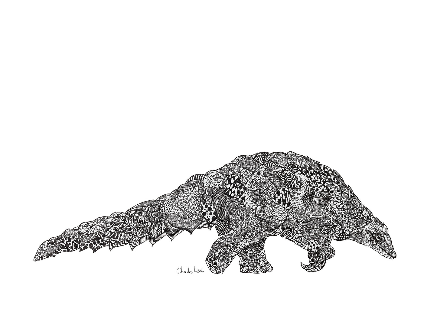 Pangolin Art Prints