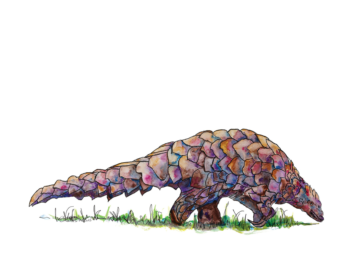 Pangolin Art Prints