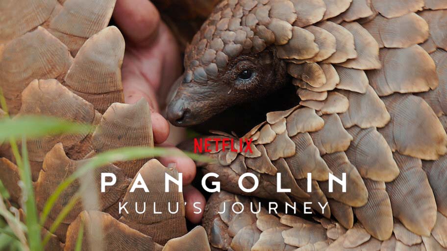 Kulu's Journey: Netflix Documentary