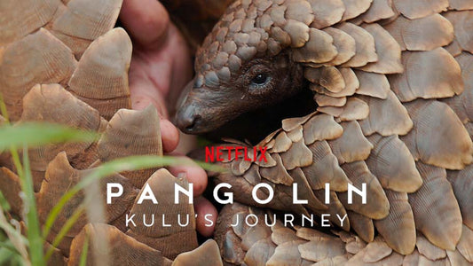 Kulu's Journey: Netflix Documentary