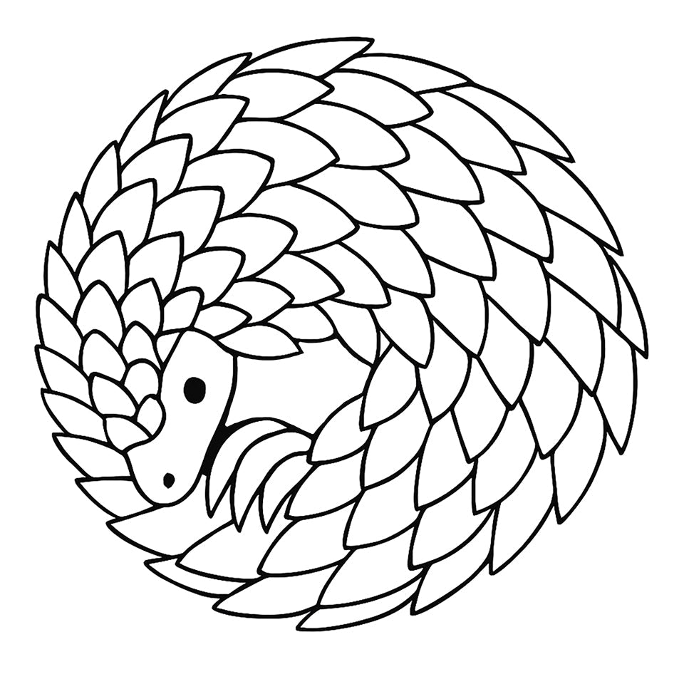 All Wildlife Products