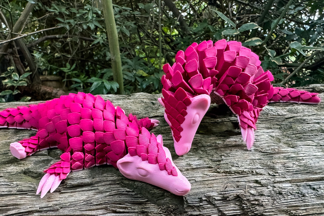 Moyo: Pangolin Month (Ltd Edition)