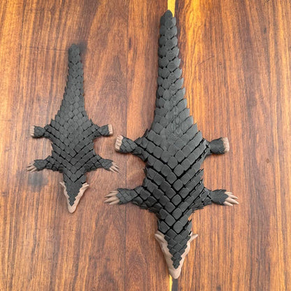Pangolin: Large Collector's Edition