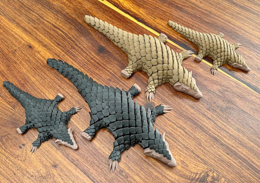 Pangolin: Large Collector's Edition