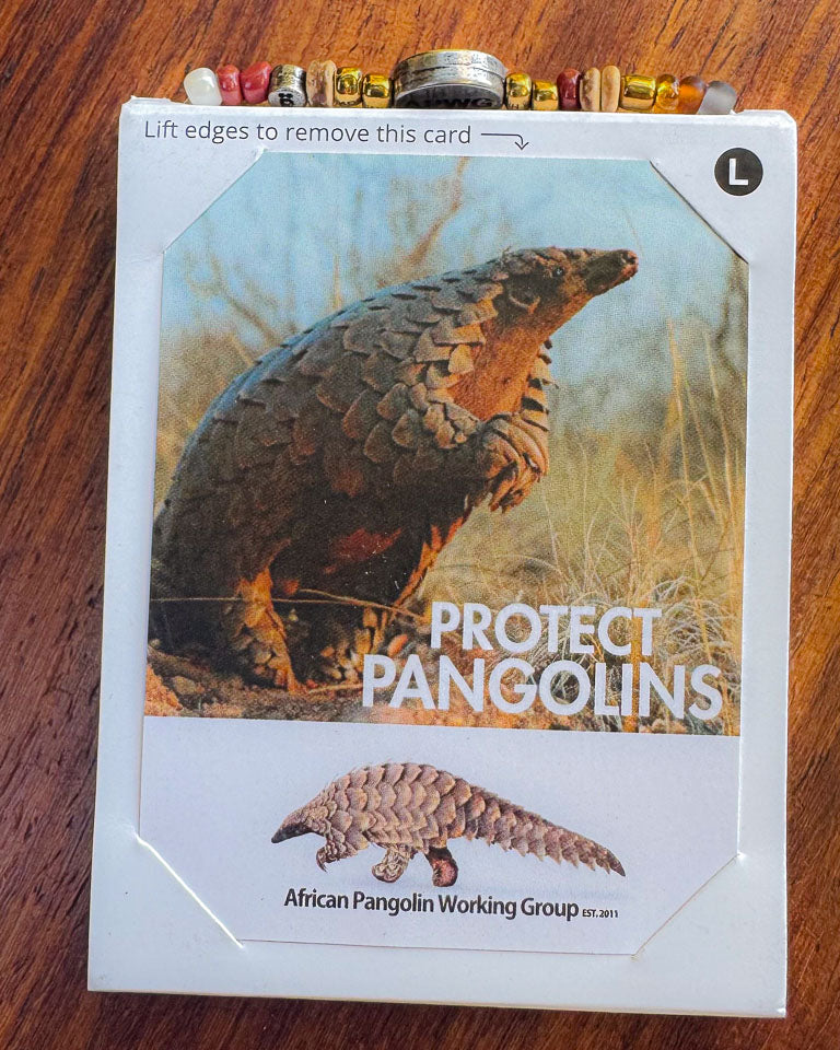 Card with pangolin illustration and 'Protect Pangolins' through the support of APWG