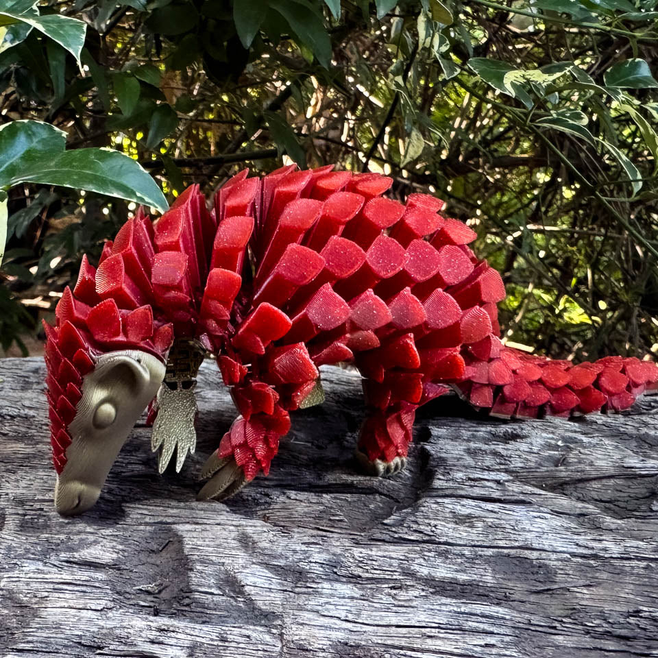 Pangolin: Xmas Limited Edition