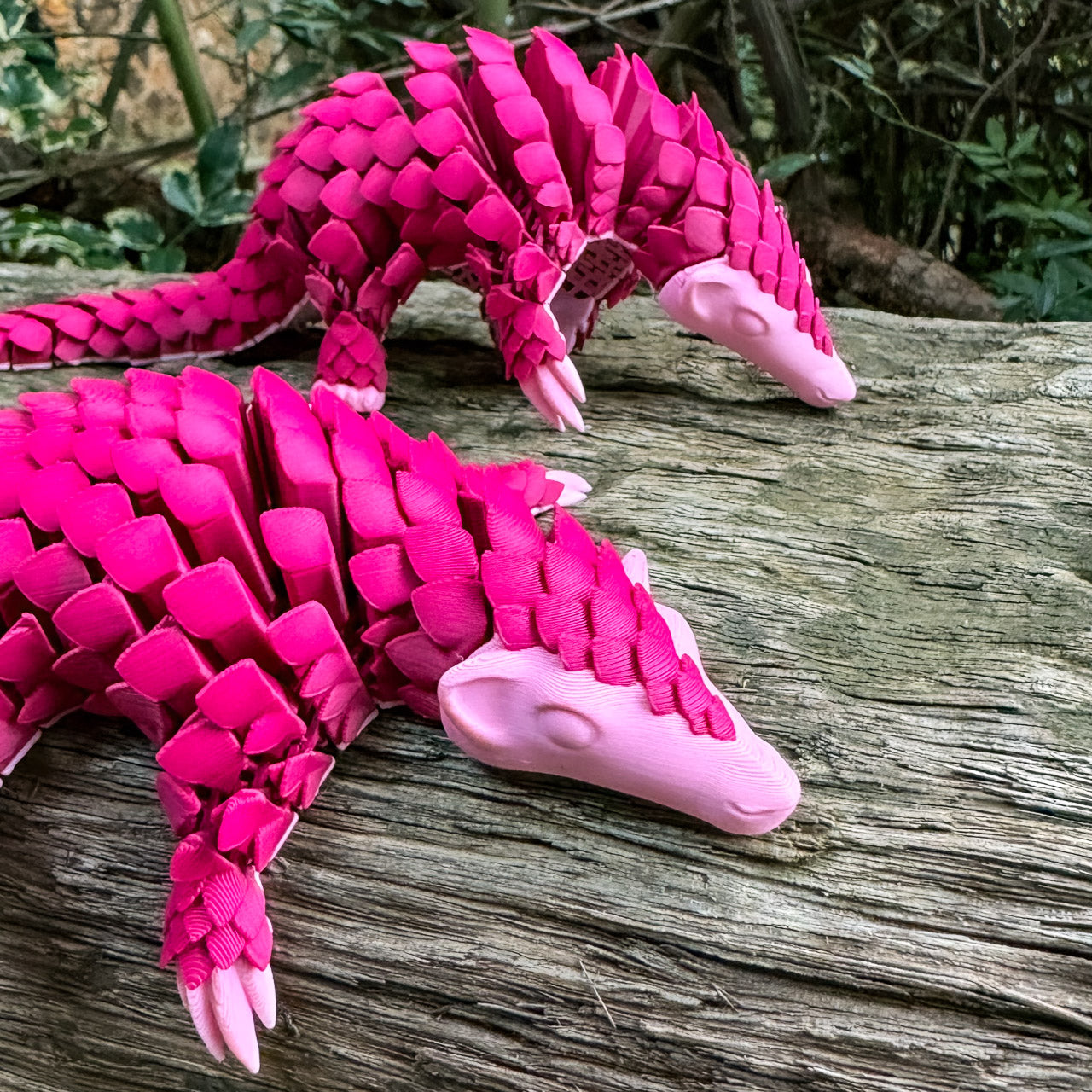 Moyo: Pangolin Month (Ltd Edition)