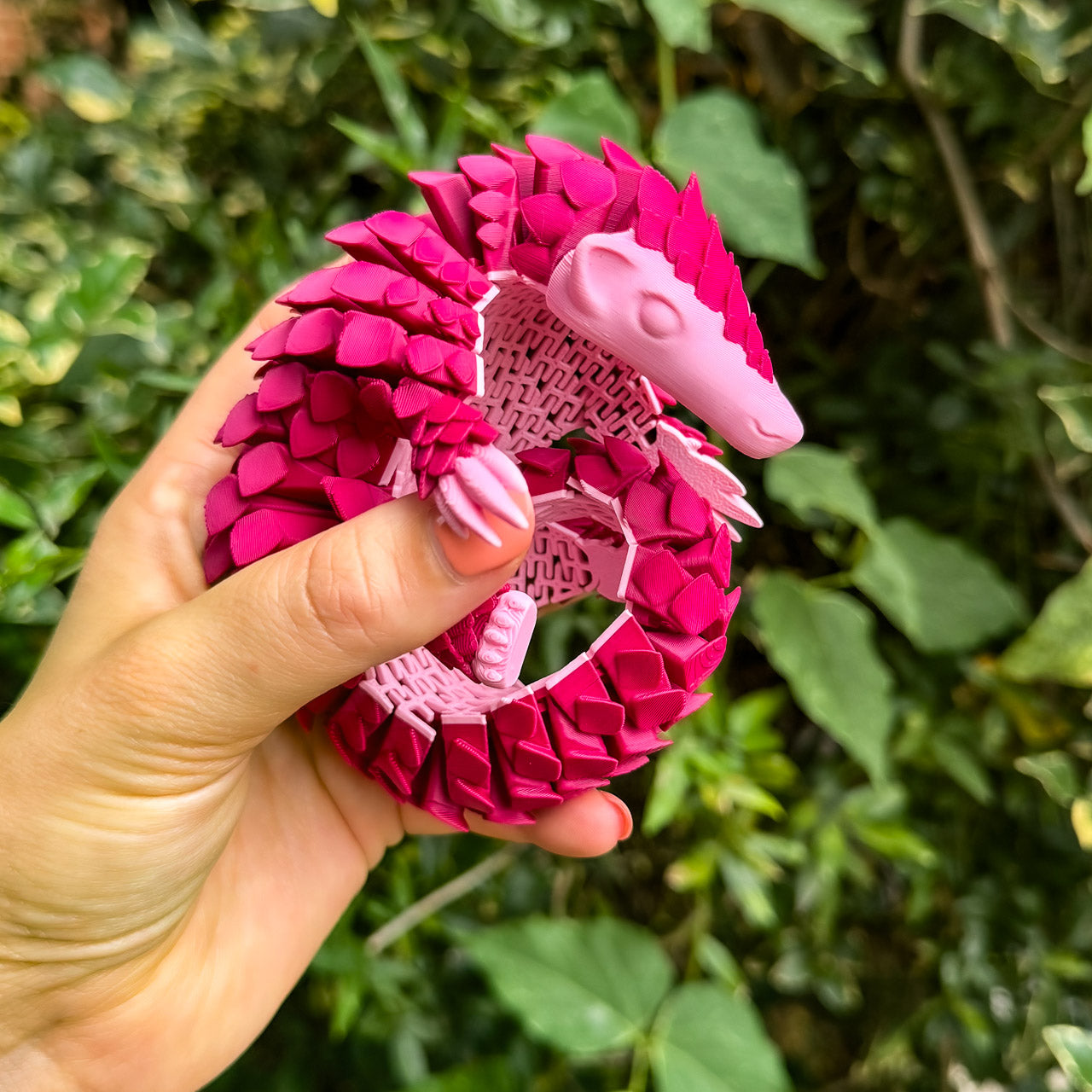 Moyo: Pangolin Month (Ltd Edition)