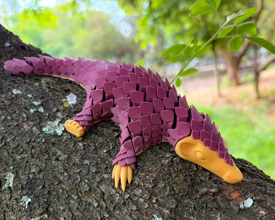 Pangolin: Ambassador Animal
