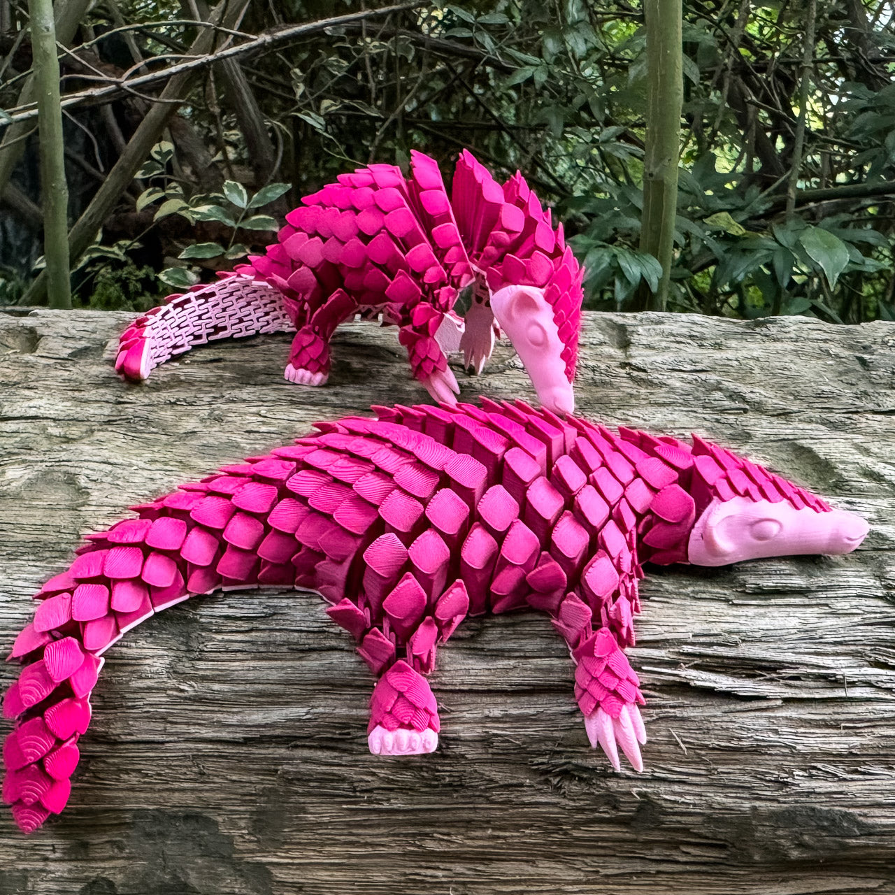 Pangolin: Ambassador Animal