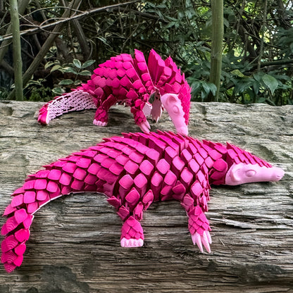 Pangolin: Ambassador Animal