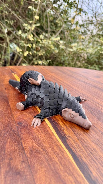 Pangolin: Large Collector's Edition
