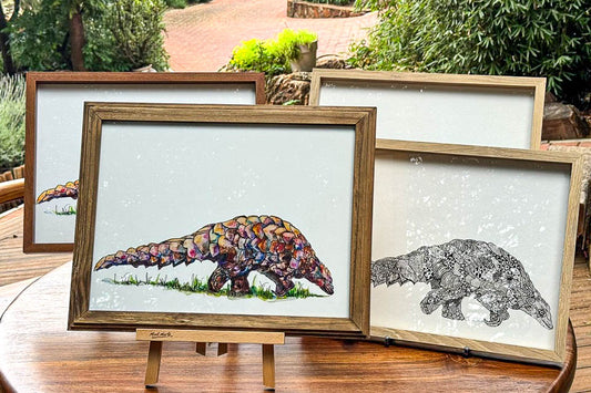 Pangolin Paintings Framed