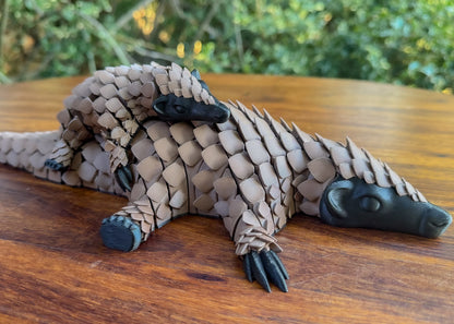 Pangopup clinging it its mother pangolin's tail
