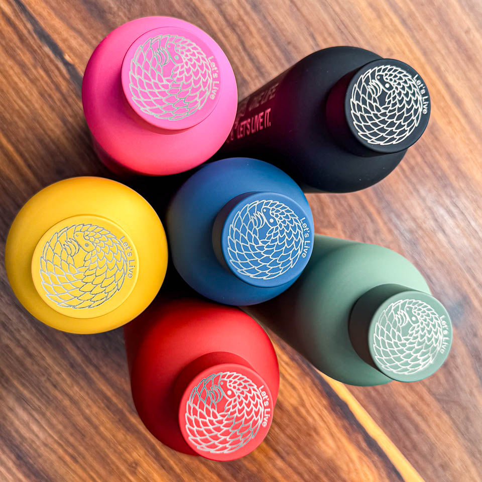 Set of colourful bottles with curled up pangolins engraved on the lids, with "Let's Live" text