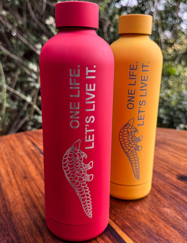 Two stainless steal water bottles, red and yellow, with 'One Life. Let's Live It.' text and a pangolin logo