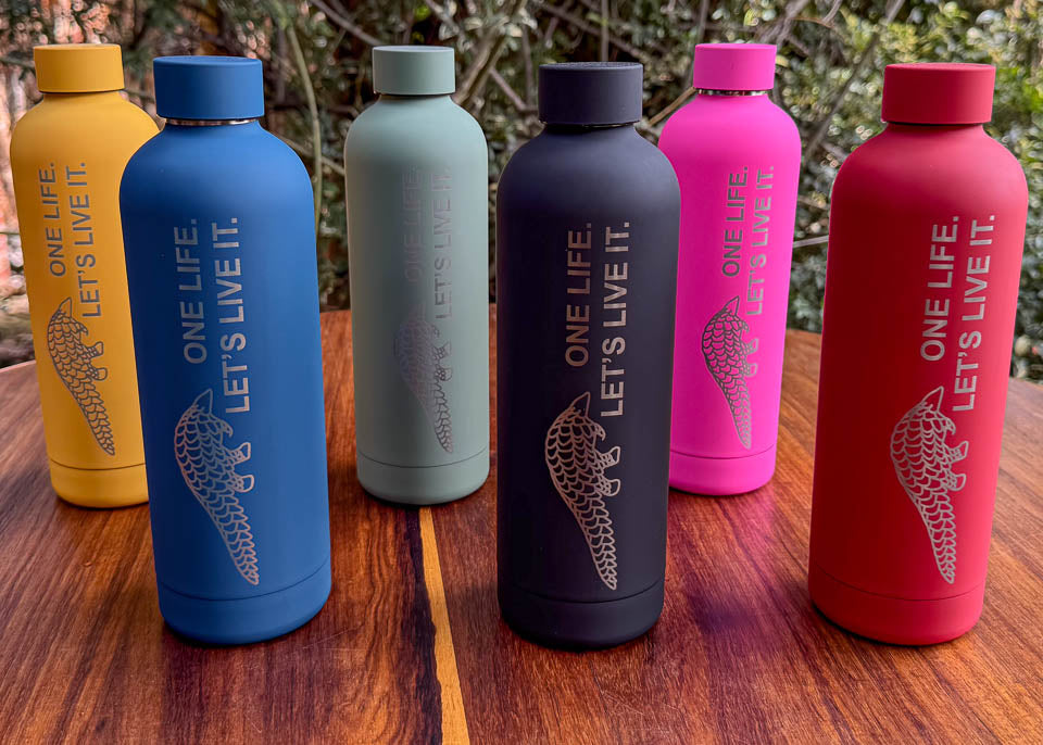 Set of colourful soft touch water bottles with 'One Life. Let's Live It.' text and pangolin graphic