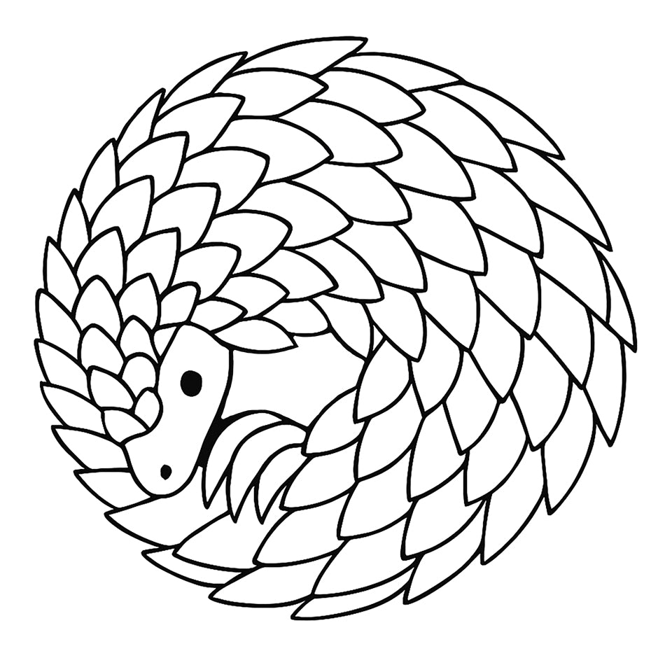 Soft Touch Stainless Steel Water Bottle – 750ml