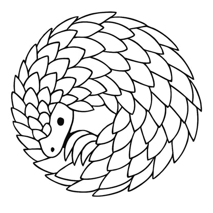 Soft Touch Stainless Steel Water Bottle – 750ml