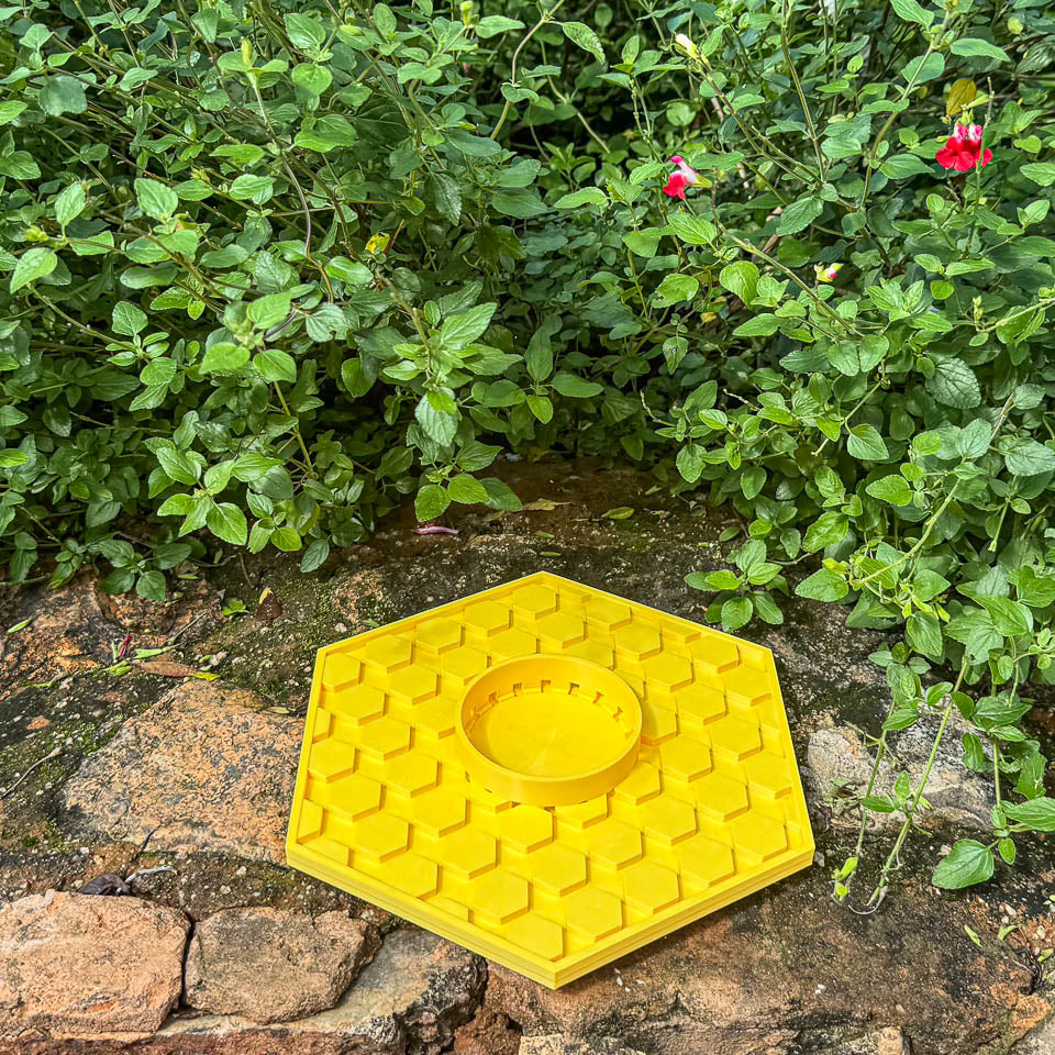 A hexagonal yellow plastic bee water tray to prevent drowning